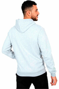 Le Coq Sportif sudadera hombre ESS Hoody N1 M vista trasera