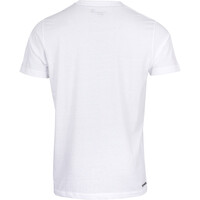 Ternua camiseta montaña manga corta hombre CAMISETA SILD vista trasera