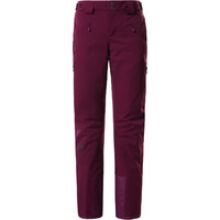 The North Face pantalones esquí mujer W LENADO PNT vista frontal