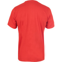 Ternua camiseta montaña manga corta hombre _3_LYNE FMS vista trasera