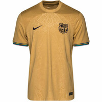 Nike camiseta de fútbol oficiales niño BARCELONA 23 Y NK DF STAD JSY SS AW 04