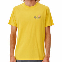 Rip Curl camiseta manga corta hombre PLAYA VIBRATIONS TEE vista detalle