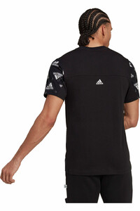 adidas camiseta manga corta hombre Stadium Graphics vista trasera