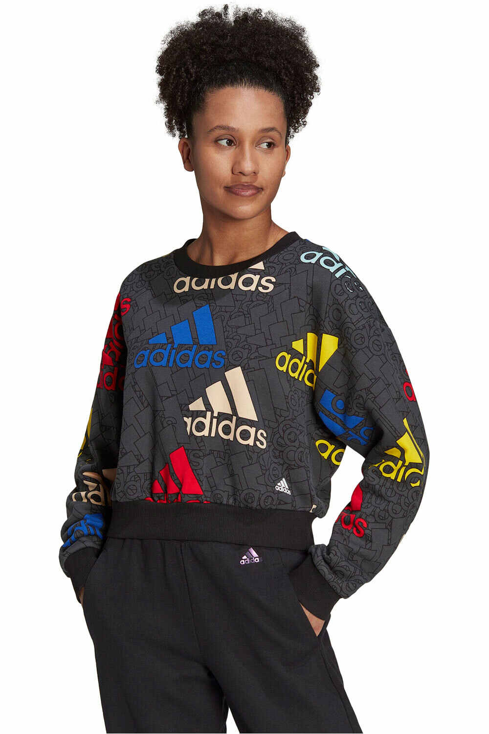 adidas sudadera mujer Essentials Multi-Coloured Logo vista frontal