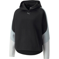 Puma sudadera mujer EVOSTRIPE HOODIE vista frontal