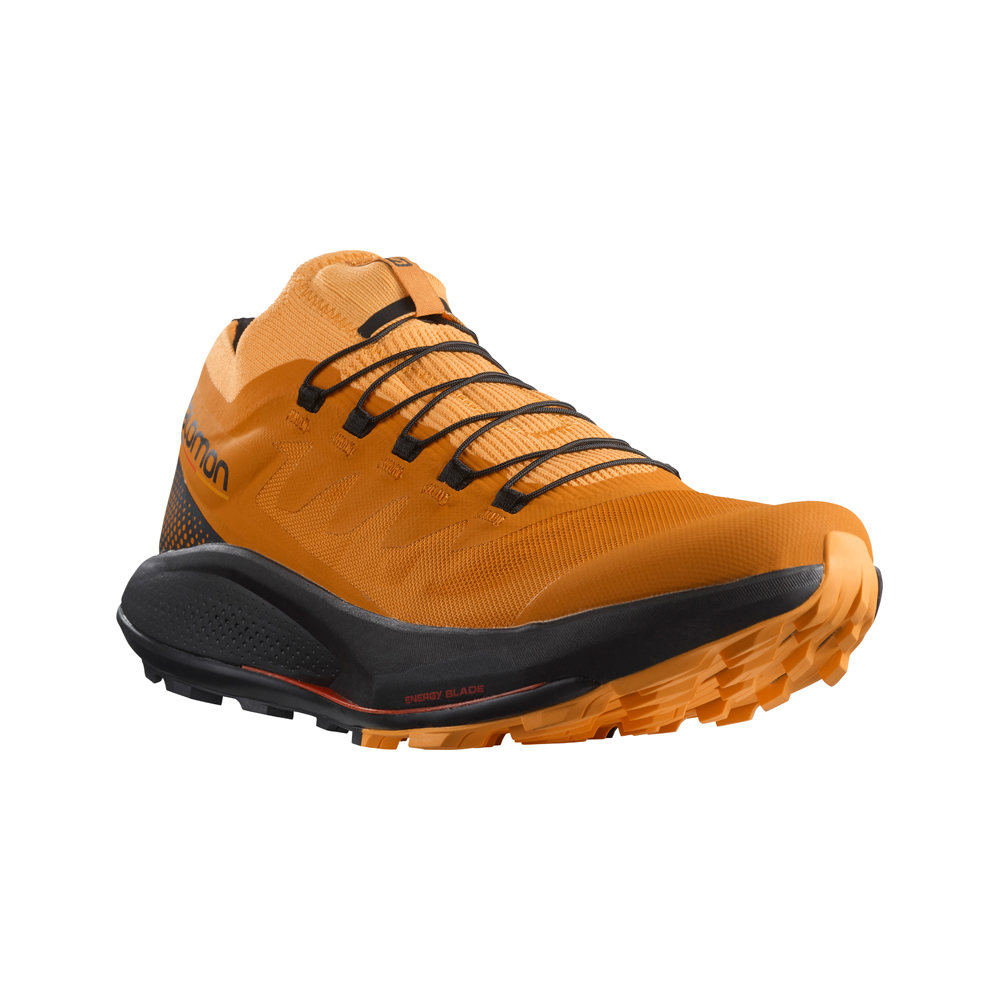 Salomon zapatillas trail hombre PULSAR TRAIL PRO puntera