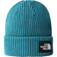 The North Face gorros montaña SALTY DOG BEANIE vista frontal