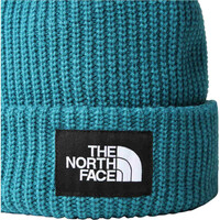 The North Face gorros montaña SALTY DOG BEANIE 01