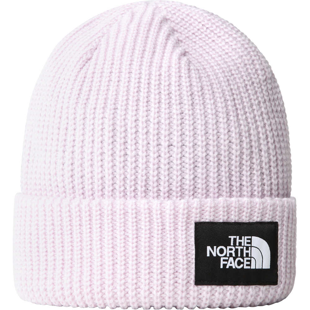 The North Face gorros montaña SALTY DOG BEANIE vista frontal