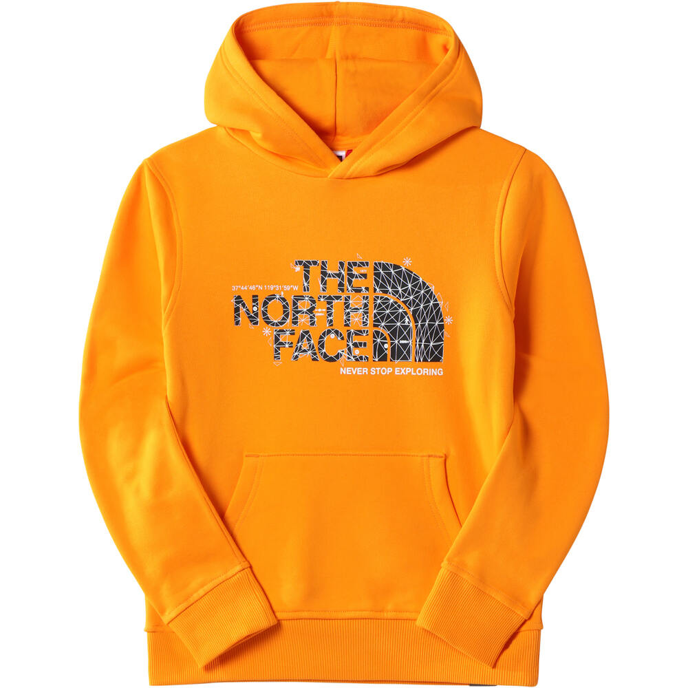 The North Face camiseta montaña manga larga niño TEENS DREW PEAK P/O HOODIE vista frontal