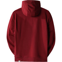 The North Face Sudaderas Montaña Hombre DREW PEAK PULLOVER HOODIE vista trasera