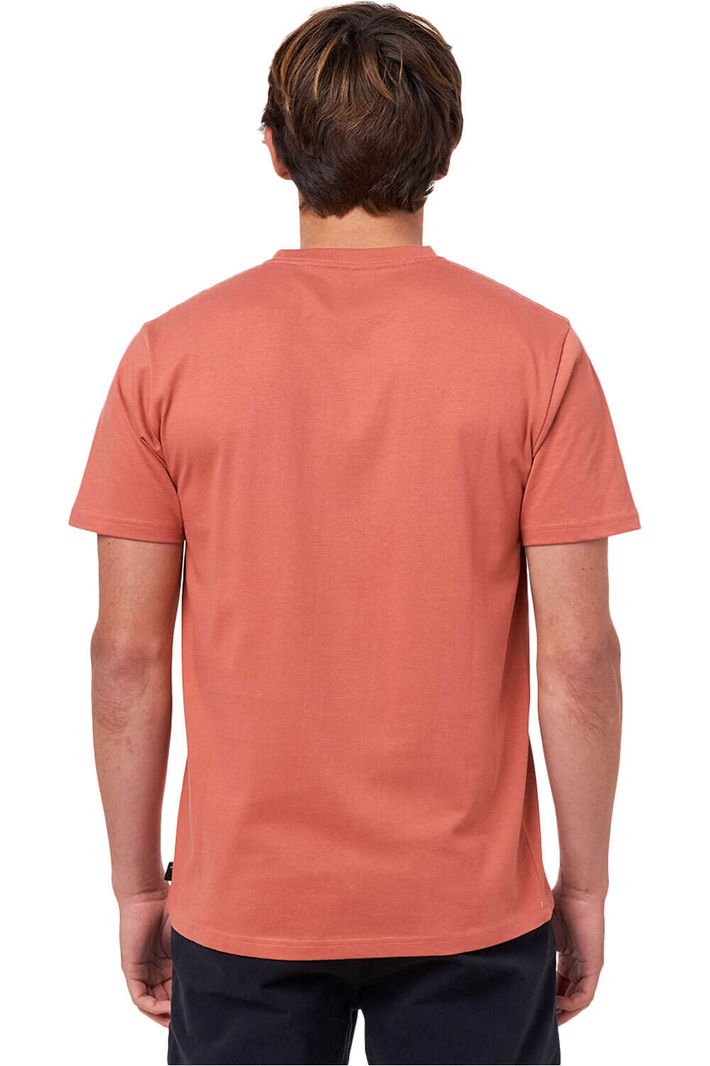 Rip Curl camiseta manga corta hombre DOWN THE LINE STRIPE S/S TEE vista trasera