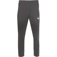 Puma pantalón hombre EVOSTRIPE PANTS vista frontal