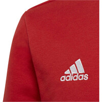 adidas sudadera niño Entrada 22 vista detalle