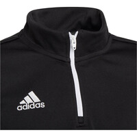 adidas sudadera niño Entrada 22 04