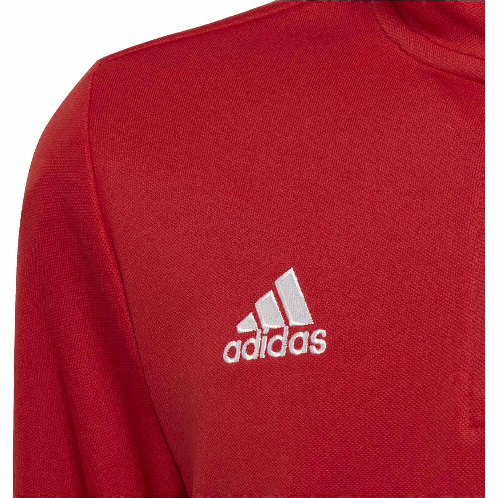 adidas sudadera niño Entrada 22 03