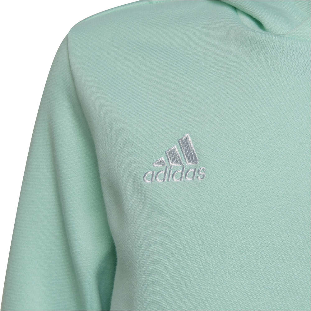 adidas sudadera niño Entrada 22 03