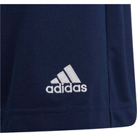 adidas pantalones cortos futbol niño Entrada 22 04