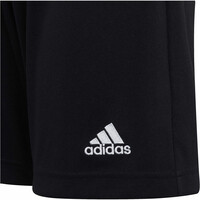 adidas pantalones cortos futbol niño Entrada 22 03