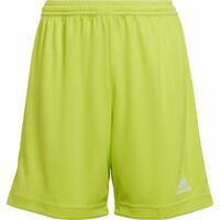 adidas pantalones cortos futbol niño Entrada 22 vista frontal