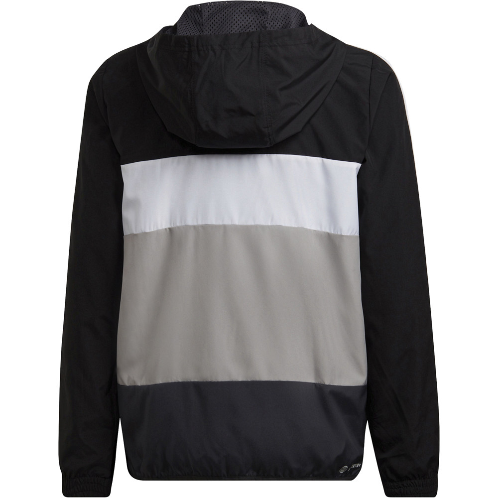 adidas sudadera niño Colorblock vista trasera