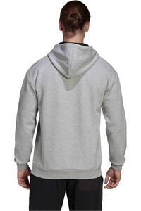 adidas Sudaderas Montaña Hombre Terrex Logo Graphic con capucha vista trasera