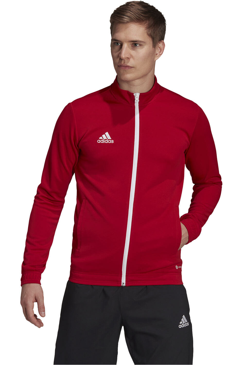 adidas sudadera hombre Entrada 22 vista frontal