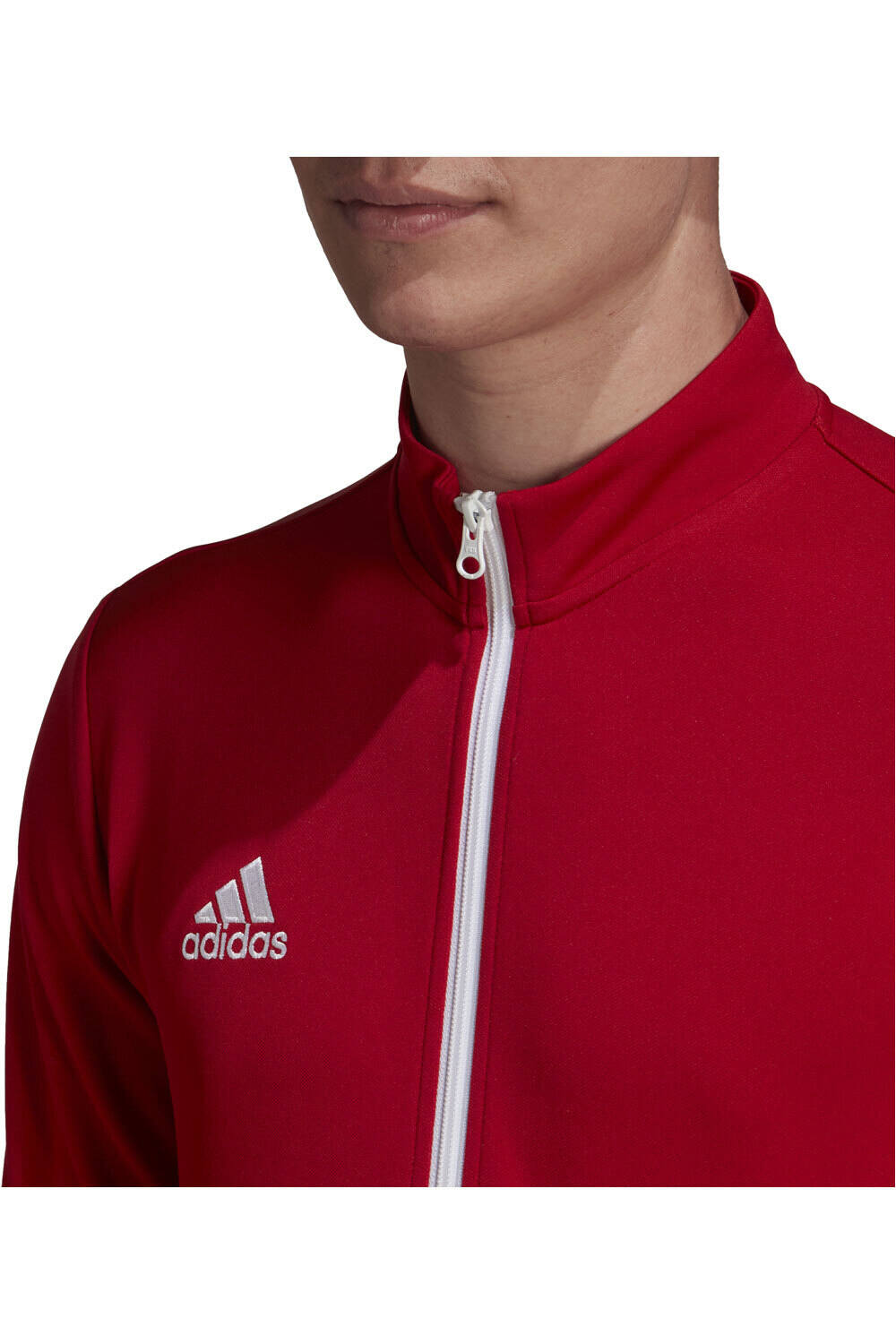 adidas sudadera hombre Entrada 22 03