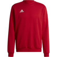 adidas sudadera hombre Entrada 22 04