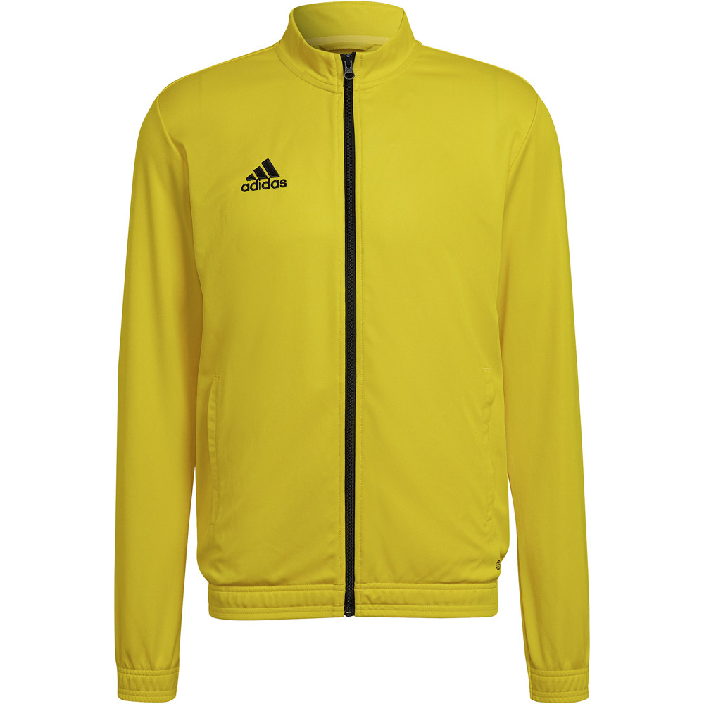 adidas sudadera hombre Entrada 22 04