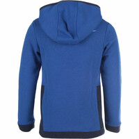 Nike sudadera niño B NSW AMPLIFY PO HOODIE vista trasera