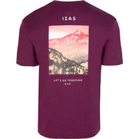 Izas camiseta montaña manga corta hombre APIES vista trasera