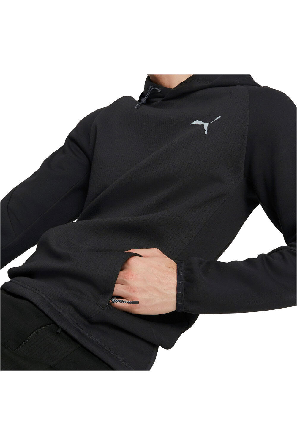 Puma sudadera hombre EVOSTRIPE HOODIE vista detalle