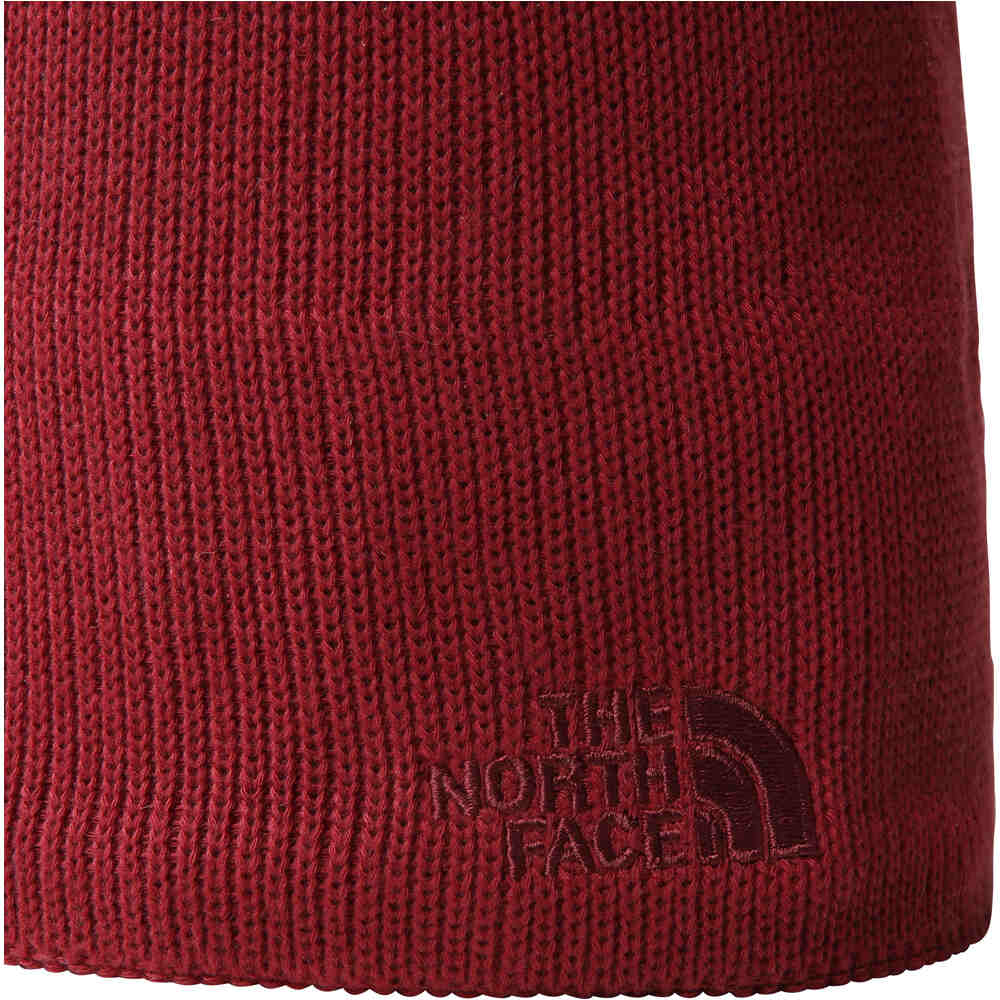 The North Face gorros montaña BONES RECYCLED BEANIE 01