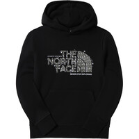 The North Face camiseta montaña manga larga niño TEENS DREW PEAK P/O HOODIE vista frontal