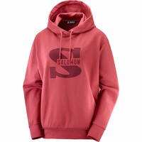 OUTLIFE PULLOVER HOODY W