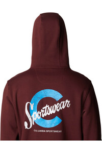 Columbia Sudaderas Montaña Hombre CSC BASIC LOGO II HOODIE vista detalle