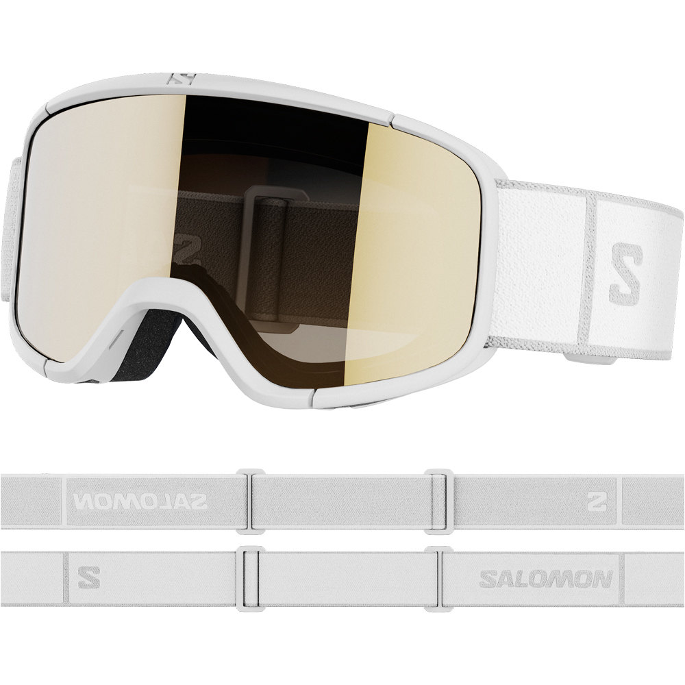 Salomon gafas ventisca GOGGLES AKSIUM 2.0 S ACCESS vista frontal