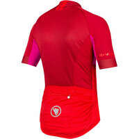 Endura maillot manga corta hombre Maillot FS260-Pro M/C II vista trasera