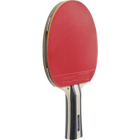 Dunlop palas ping-pong FLUX 01