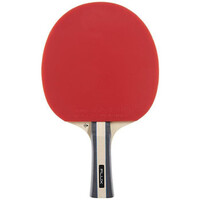 Dunlop palas ping-pong FLUX 03