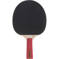 Dunlop palas ping-pong NITRO 01