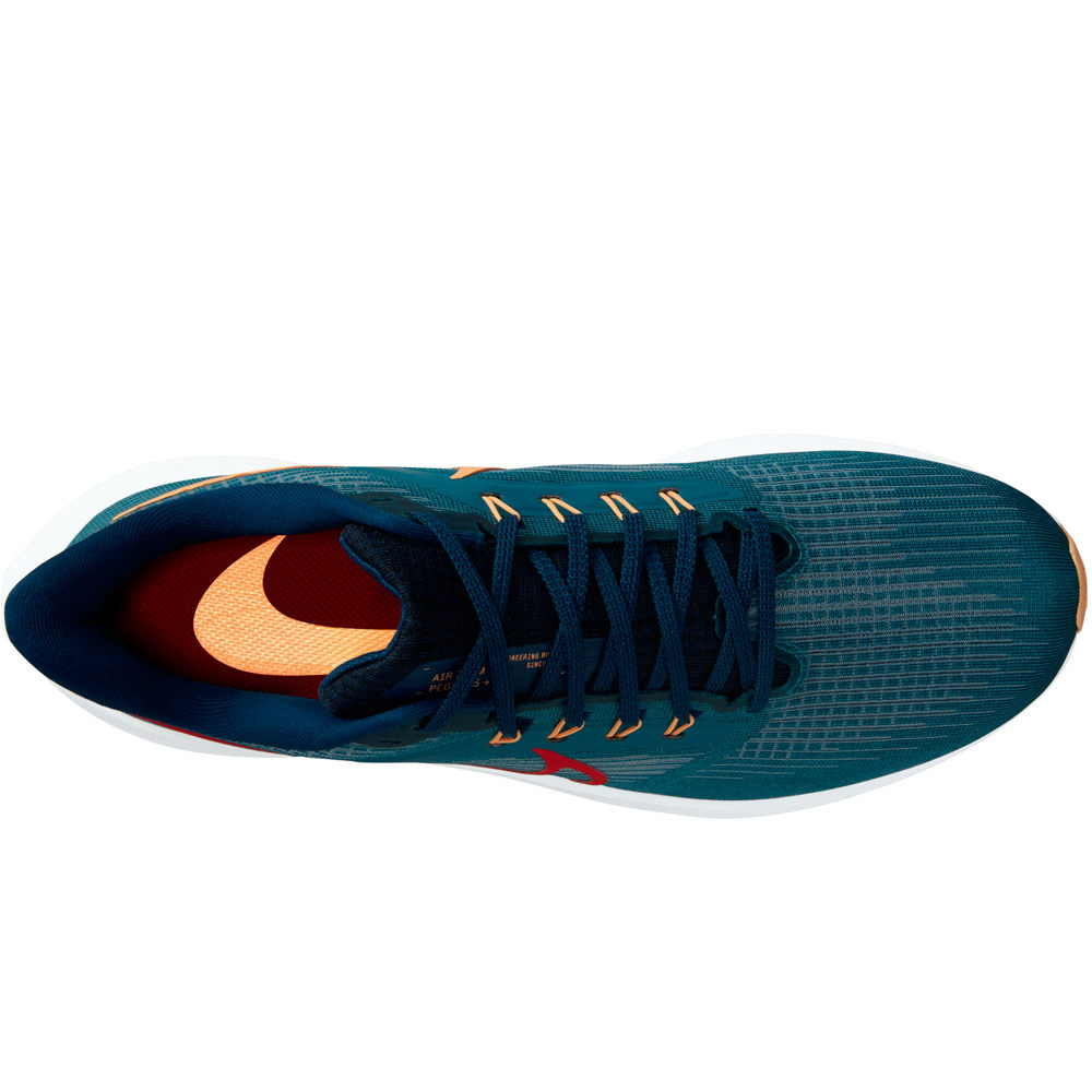 Nike zapatilla running hombre AIR ZOOM PEGASUS 39 vista trasera