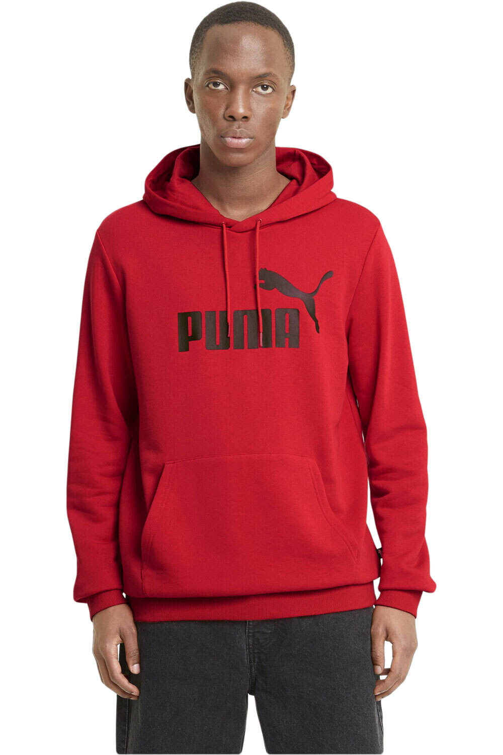 Puma sudadera hombre ESS Big Logo Hoodie vista frontal