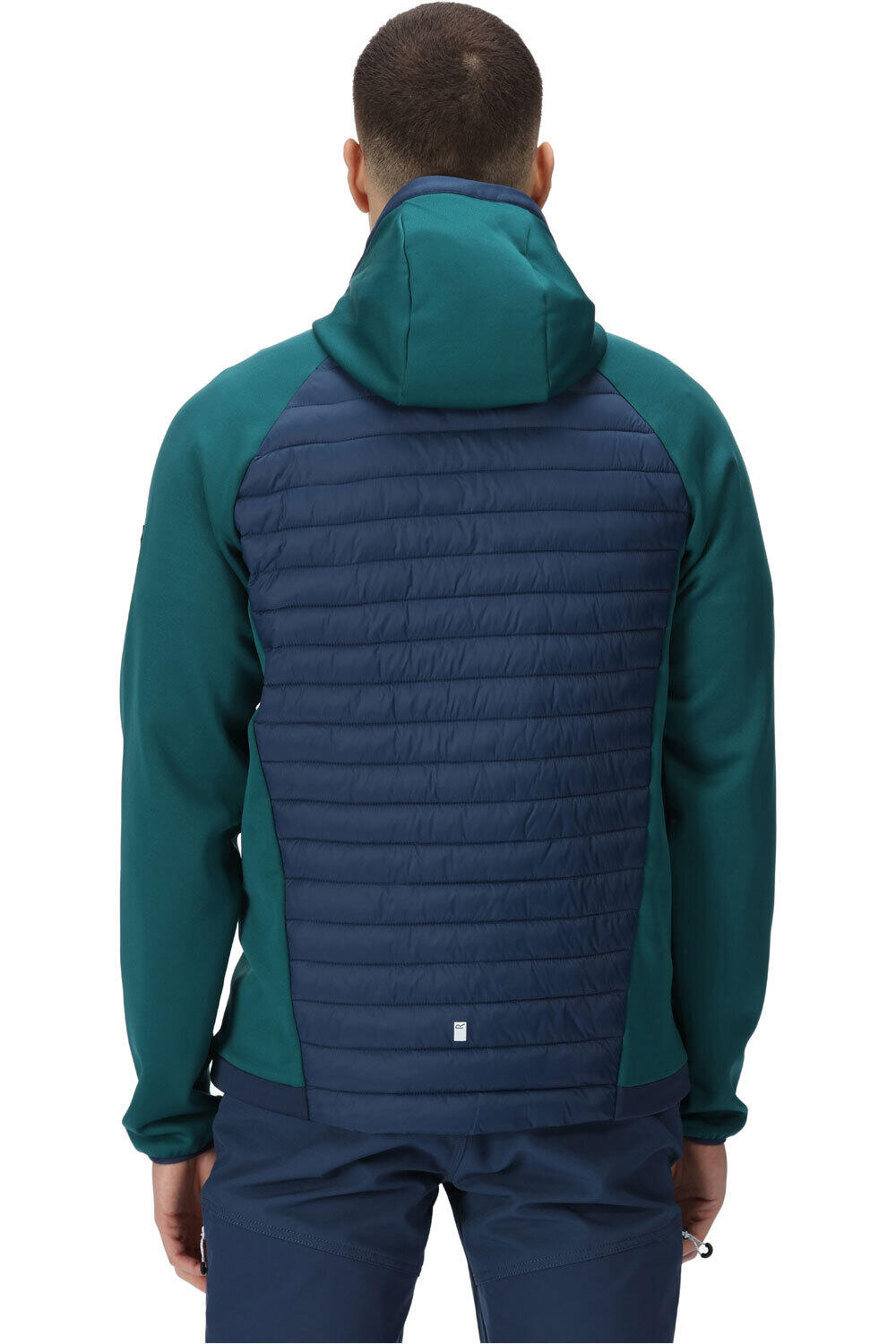 Regatta chaqueta outdoor hombre ANDRESONVIIHYBRID vista trasera