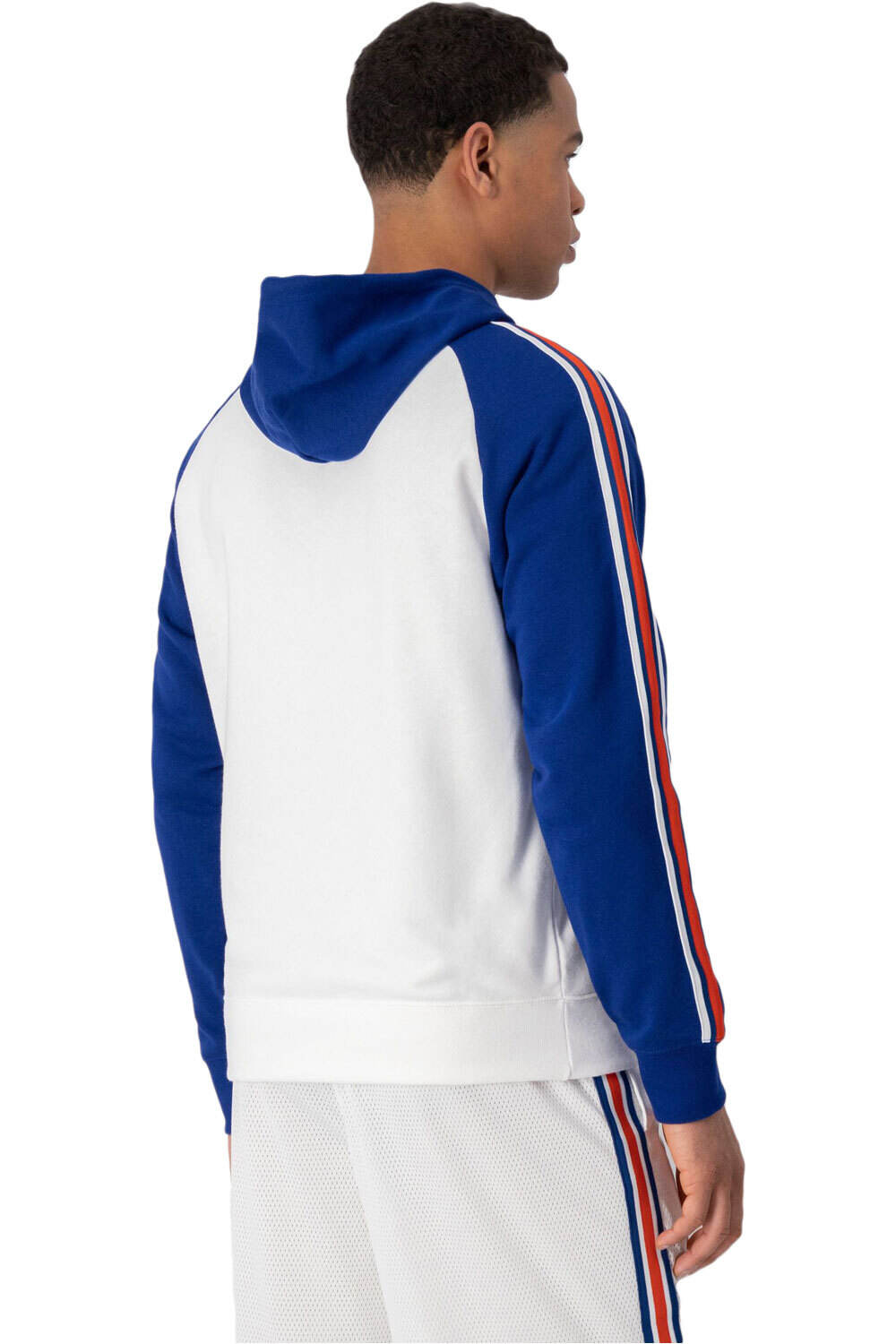 Champion sudadera hombre tricolor Hooded Sweatshirt vista trasera