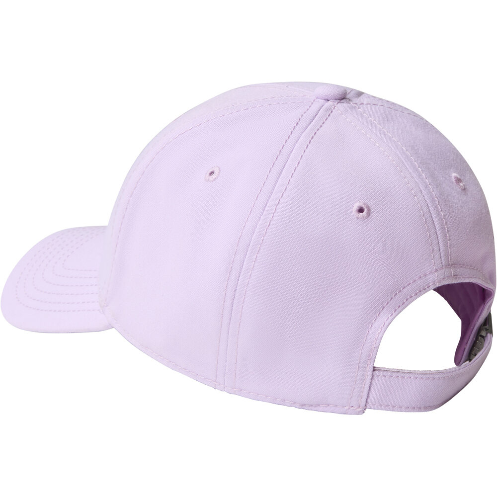 The North Face visera lona RECYCLED 66 CLASSIC HAT 01