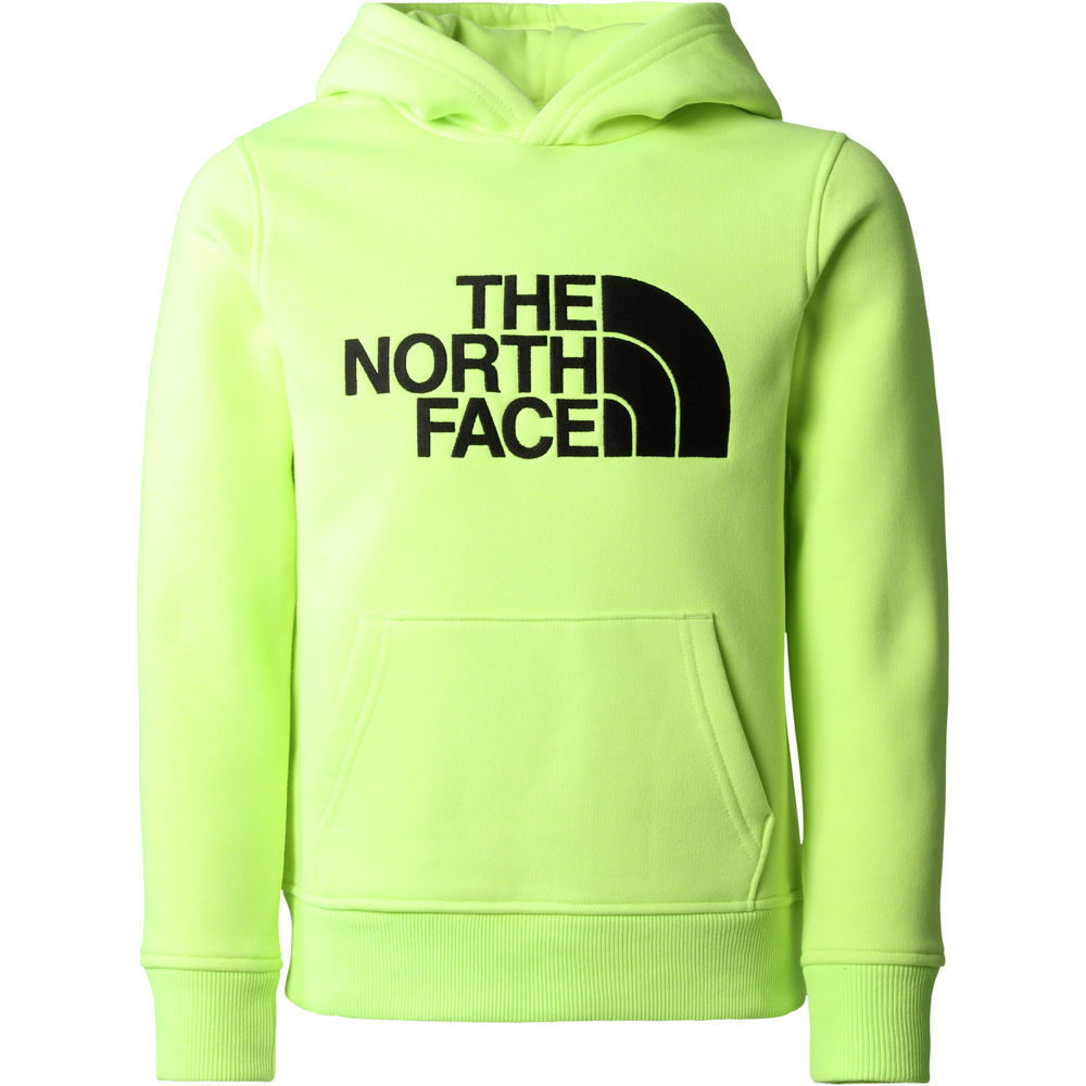 The North Face camiseta montaña manga larga niño B DREW PEAK P/O HOODIE vista frontal