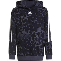 adidas sudadera niño Future Icons 3-Stripes Graphic (con capucha) vista frontal