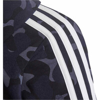 adidas sudadera niño Future Icons 3-Stripes Graphic (con capucha) vista detalle